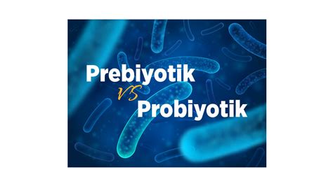 prebiyotik ve probiyotik farkı